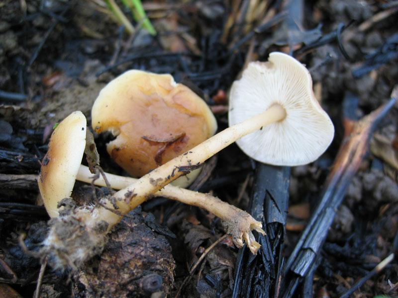 Ritrovamenti del 6 Maggio